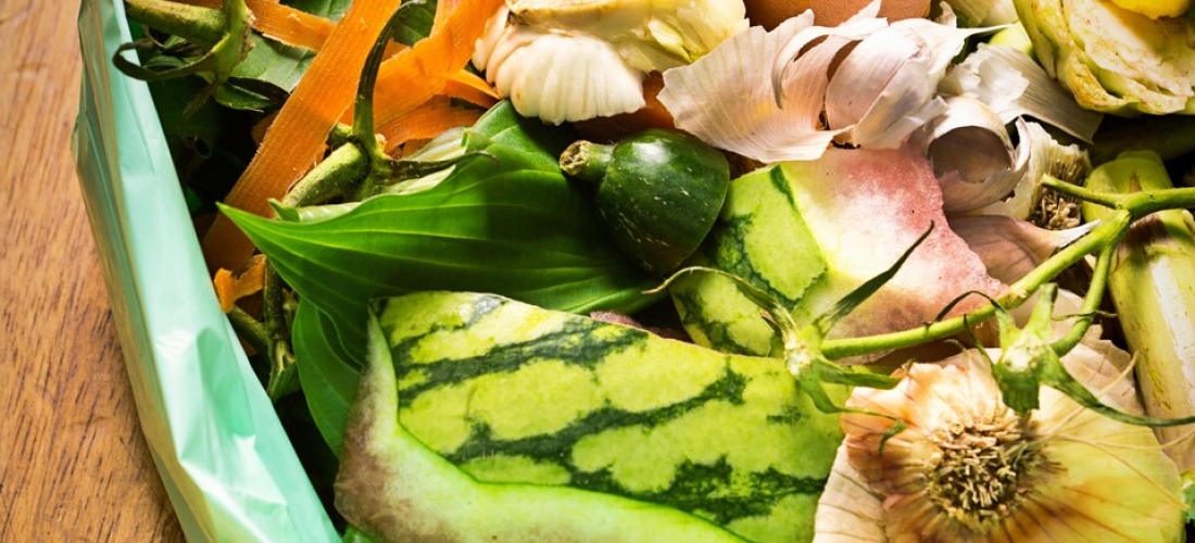 SUPPORT FOR THE RCM OF ABITIBI-OUEST’S COMPOSTING PLATFORM PROJECT